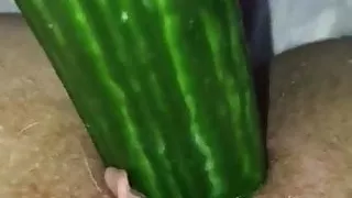 Cucumber fuck