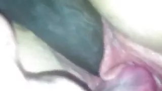 Vive Les Blacks De Morlaix squirt cum inter chienne fontaine