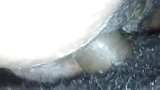 Amador Caseiro Real 48