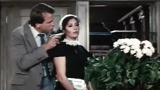 Knockoff James Bond fucks a milf maid, upscaled to 4K