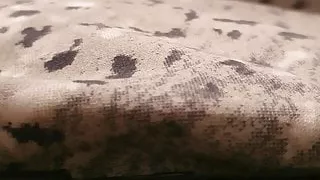 Gamer Muslim gets fucked while gaming by Pakistan step son