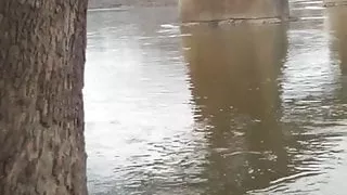 Pissing in the River