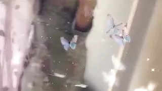 Randi babie wants spunk