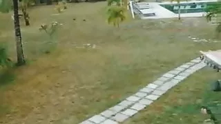 Das braune Mädchen-Tagebuch