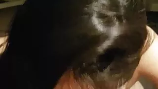 Nice blowjob