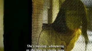 Romantic sex scenes from Mirzapur series 1