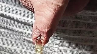 Close-up foreskin peeing slowmo