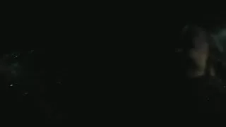 Sarah Gadon - ''Black Bear''