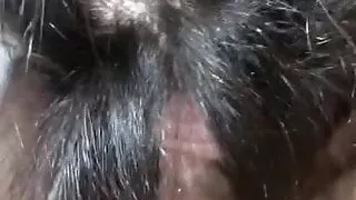 Suckin 'on my daddy, not daddy stepdad