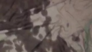 Look at the floor after she squirted