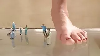 Marigold Giantess Goldmary