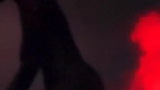 Cataleptic Canvas: Two