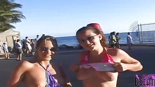 Wild Spring Breakers Flash Strangers In Key West
