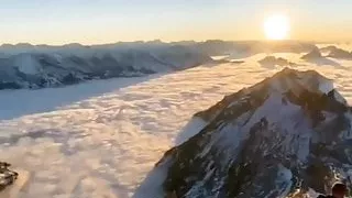 Antarctica with organization