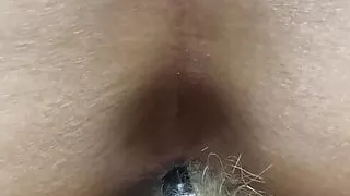 Fox anal plug