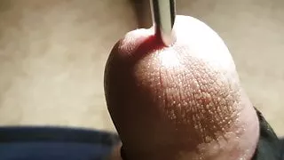 Closeup sounding a massive rod, urethral sounding, precum