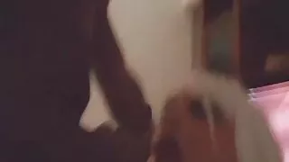 Lilly loves black cocks