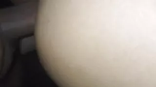 Leticia de a perrito