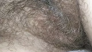 I am not shaved