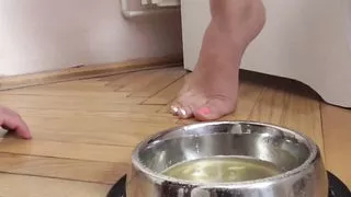 Pedicure-soup Feeding For Doggy Slave!