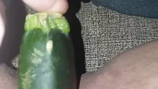 Cucumber