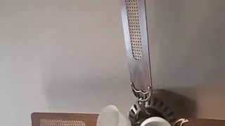 Milwaukee thot shia Williams