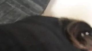 Amateur, Doggy Style, Fait Maison, Mari