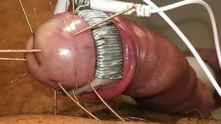 Needled cockhead under heavy electro torture