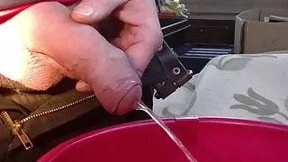 Gungfly Pee in einem Eimer