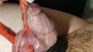 QueenLea69 - destroys her slave's small dick