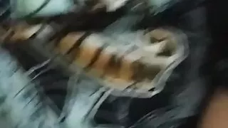 She fucks my stepdad ?!