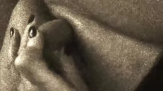 Secret night game. Carrot and pussy