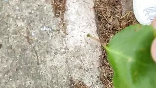 Masturbation, Norwegische Frauen