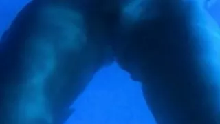 An evening swim, naked of course!