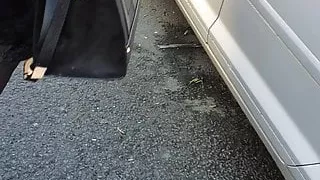 Romanian street prostitute has sex without condom