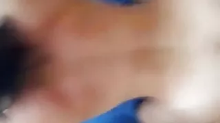 Kopek sitili