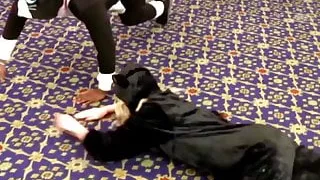 Taylor Swift - Cat School