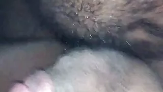 Bear Hole Fucked Good