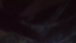 Tuga de contumil foi ao parque