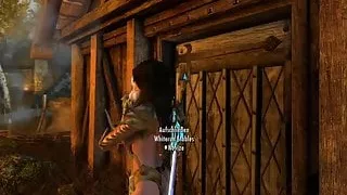 From my own Skyrim Game 1  (No Porn)