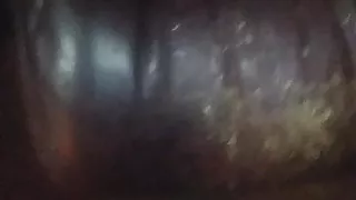 Goddamn what a feeling