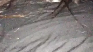 Sucked my dick on way to work