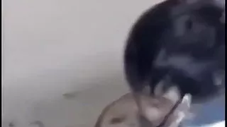 Amateur Sex Video 102