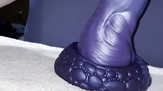 Fucking the thick dragon