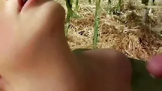 Wizard Of Oz Scarecrow Parody Making Fun Session