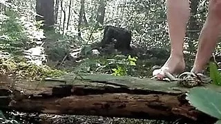 forest piss