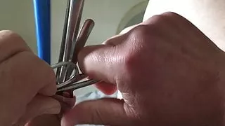 Amatööri, Britti, Homo, Lelut