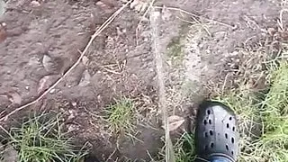 German Boy pissing outdoors