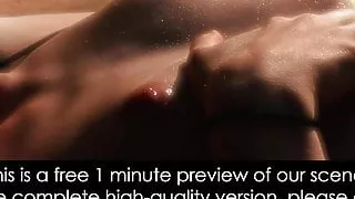 FREE PREVIEW - Covert Attraction (Part 1)