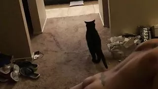 mature Asian Nyomi exercises fully naked